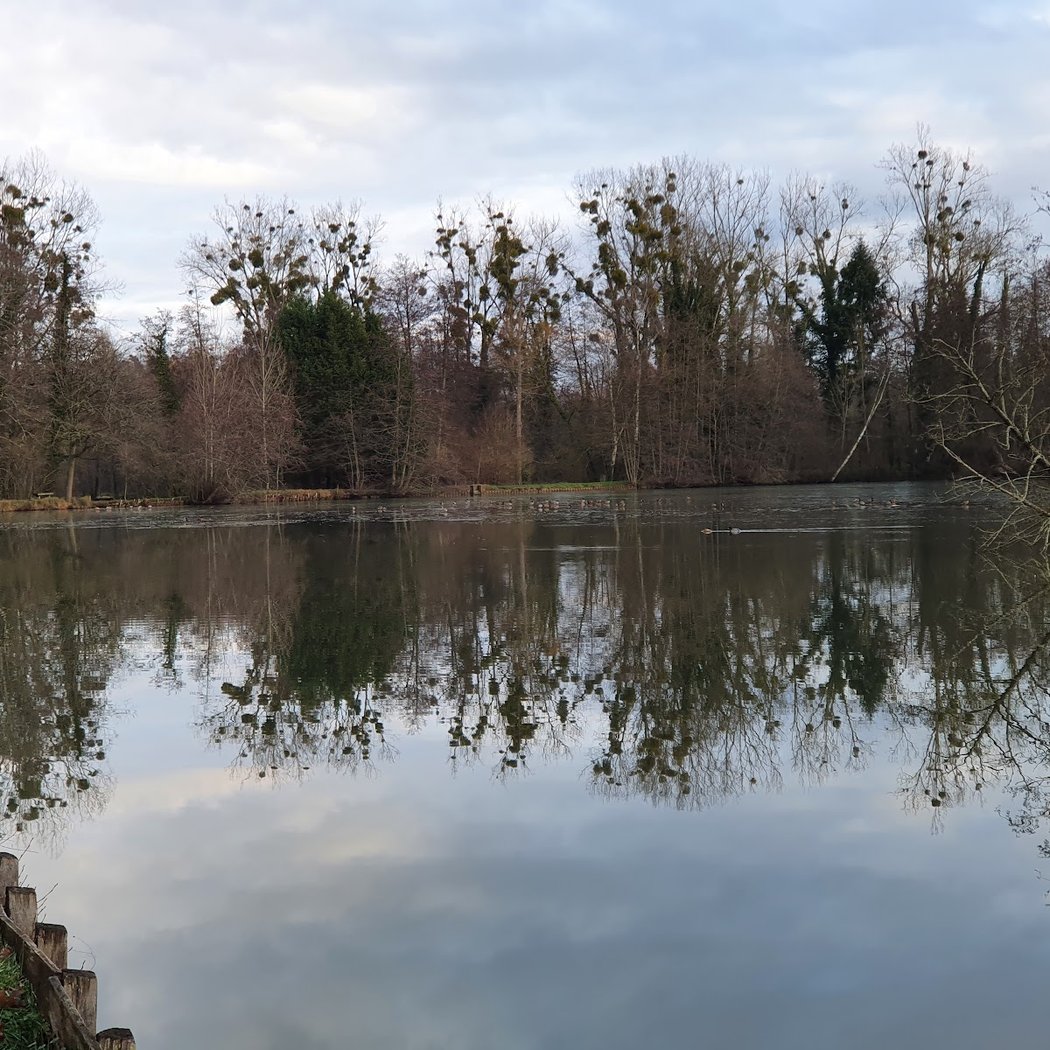 Les fontaines bouillantes 2